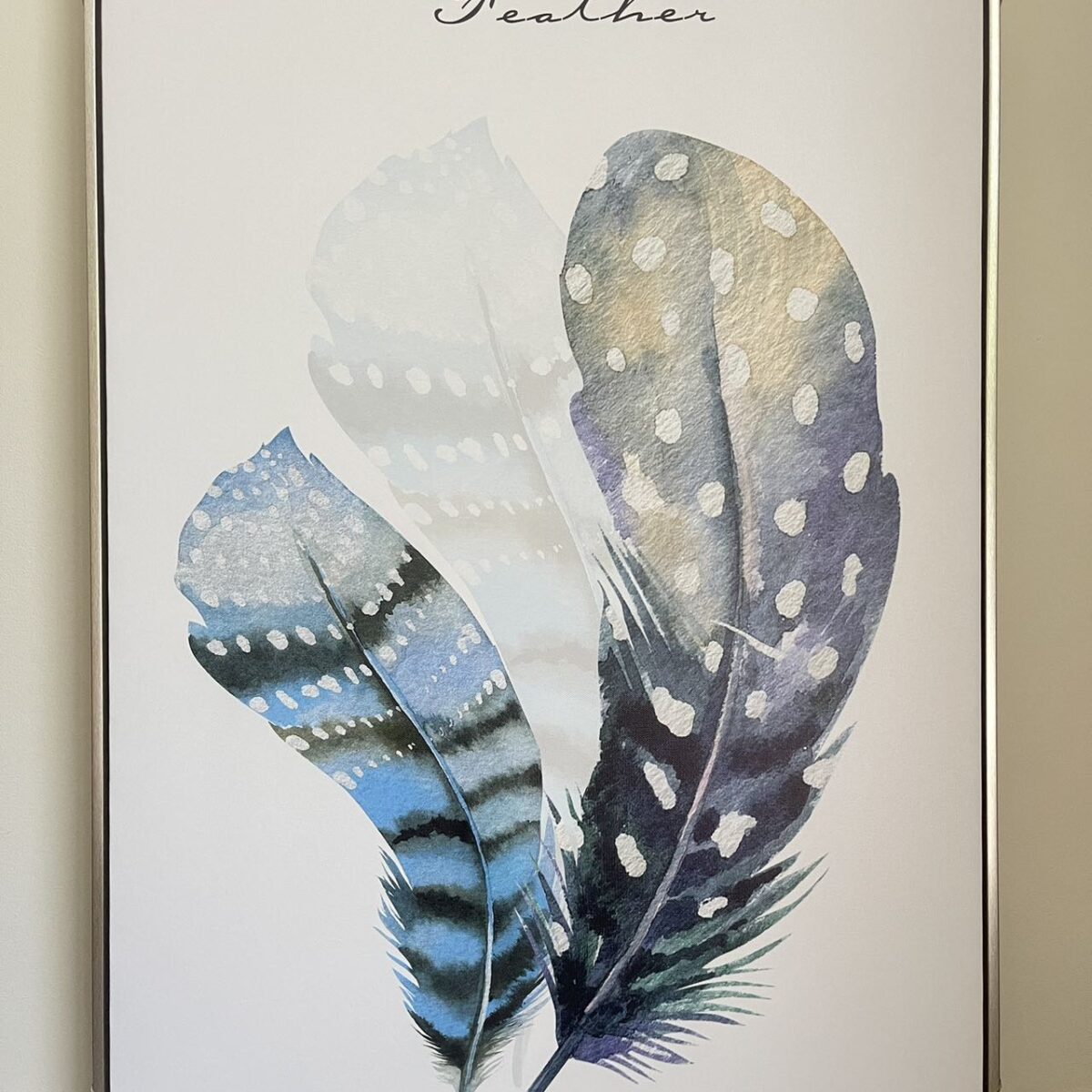 2 feather painting 1 Canvas Print in Floating Framed 90 x 60cm--Feather