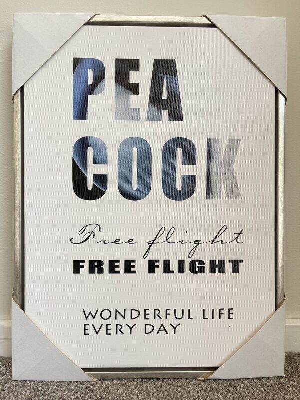 Canvas Print in Floating Framed 40 x 30cm